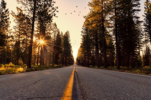 Asfaltová cesta so žltými čiarami, západ slnka, stromy a vtáky na oblohe.jpg